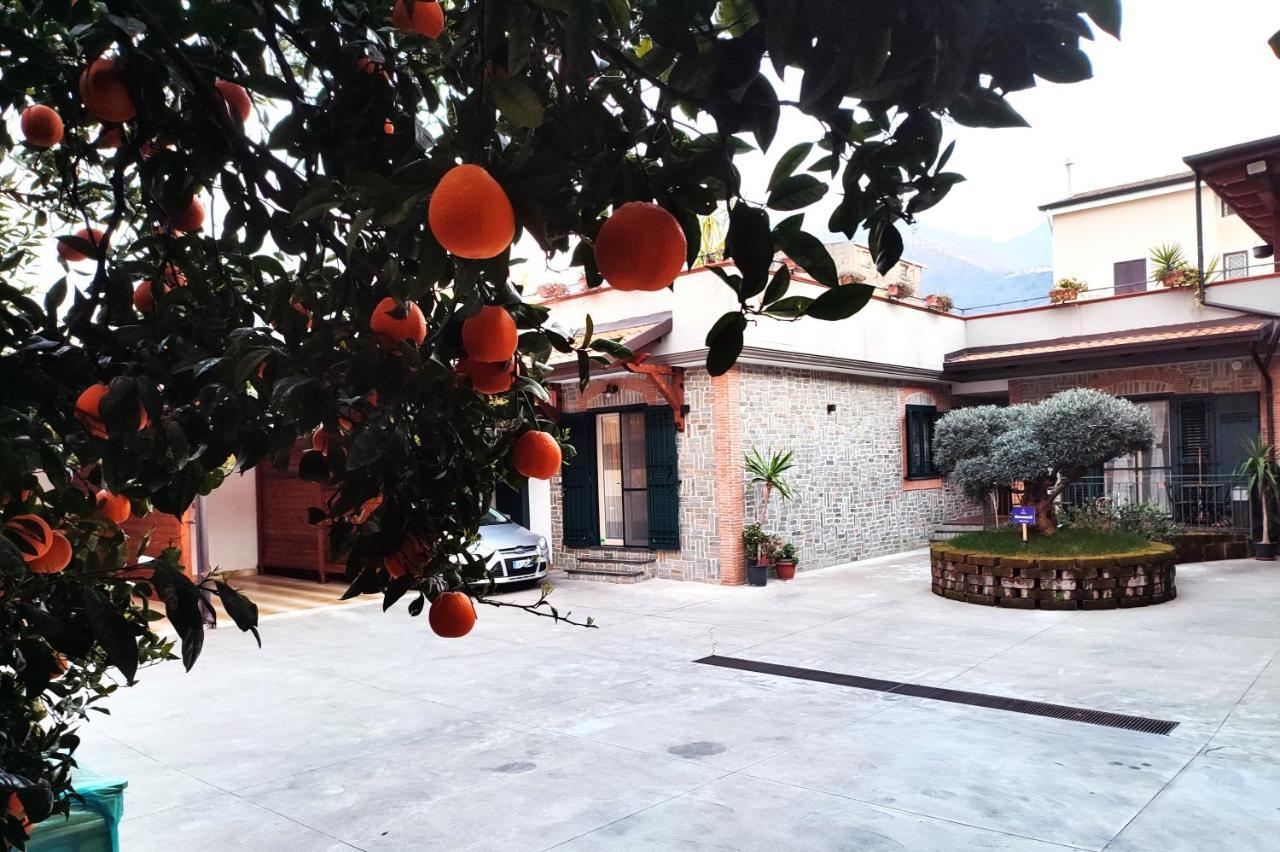 Midway House Italy Hotel Sant'Egidio del Monte Albino Buitenkant foto
